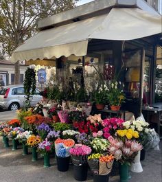 an outdoor flower shop with lots of colorful flowers