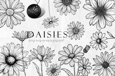 daisies are drawn in black and white with the words daisies on it's side