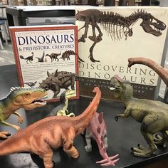 dinosaurs are on display in front of books