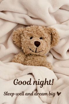 a teddy bear laying under a blanket with the caption good night sleep well and dream big