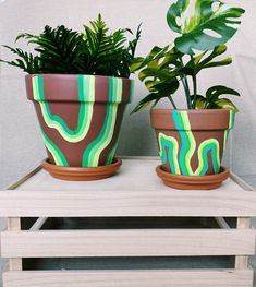 two potted plants sitting on top of a wooden table next to each other,