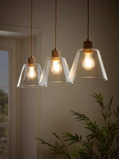 three clear glass pendant lights hanging from a ceiling in a room with a potted plant