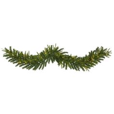 a green christmas garland with lights on the end and one branch hanging from it's side