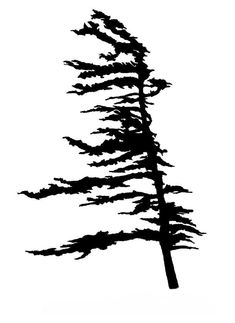 a black and white silhouette of a tree