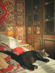 a black cat laying on top of a bed next to a wooden dresser and mirror