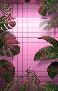 a pink tiled bathroom with monster leaves on the wall and tile flooring behind it