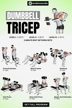 the dumbbell tricep workout guide