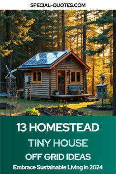 Homestead Tiny House Off Grid Off Grid Hunting Cabin, Off Grid Shed Home, Off Grid Home Plans, Off Grid Ideas, Tiny House Off Grid, Off The Grid Homes, Cabin Off Grid, Loft Conversion Layout, Sustainable Tiny House