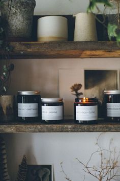 three candles sitting on top of a shelf next to potted plants and other items