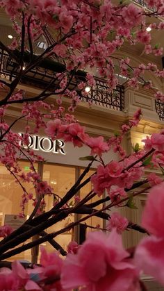 pink flowers are blooming in front of the store's sign and window display