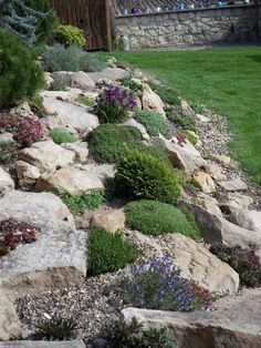 a garden with rocks and flowers in it