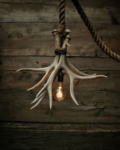 a light bulb with antlers hanging from it