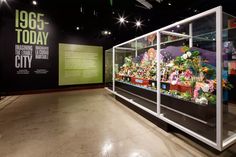 a display case filled with lots of flowers and plants