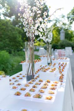 outdoor-catered-appetizer-table Catered Appetizers, Outdoor Rehearsal Dinner, Corporate Holiday Party, Corporate Catering, Event Favors, Real Weddings Photos