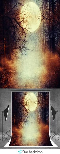 two photoshopped images with trees and the moon in the background, one is an empty