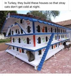 two cats are sitting on the outside of a doll house that is painted like a boat