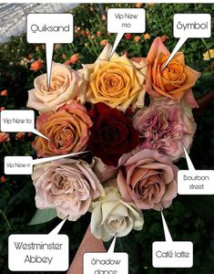 a bunch of flowers that are labeled in different languages and names for each type of flower