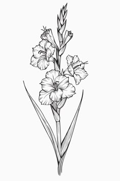 a black and white drawing of flowers on a white background