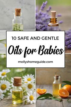 Discover the benefits of using essential oils for babies with our safe and baby-friendly diffuser recipes. From relieving cold and congestion to promoting skin health and wellness, these best essential oils are gentle on your little one. Explore our collection of baby-safe essential oil blends perfect for postpartum care and newborns. Create a calming atmosphere with Essential Oils for Kids that can help soothe your baby's cough. Trust in the power of essential oils to support your child's well- Essential Oils For Excema For Kids, Diffuser Blends For Stomach Bug, Essential Oils For Sickness, Baby Oil Hacks, Pregnancy Safe Essential Oils, Gentle Baby Essential Oil, Natural Remedies For Congestion, Essential Oils For Congestion, Cardamom Essential Oil