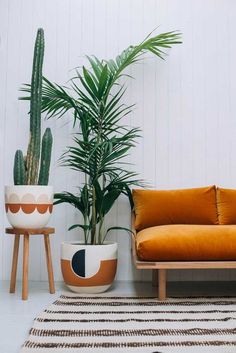 two potted plants sit next to each other in front of a couch and side table