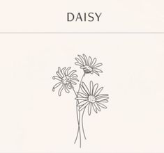 daisies on a white background with the words daisy written in black and white ink