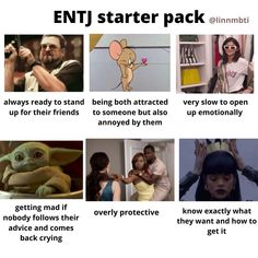 Mbti Humor, Entj And Infj, Personality Types Chart