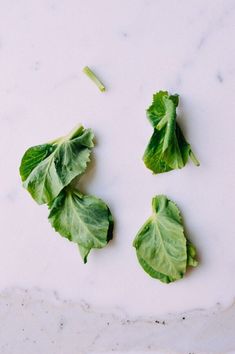 lettuce leaves on a white marble surface with one cut in half and the other uncooked