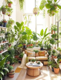 a living room filled with lots of plants