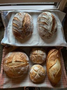 four loaves of bread sitting on top of a towel next to each other in front of a window