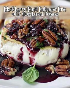 blackberry basil balsami brie with sweetened pecans on a white plate