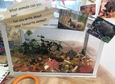 a display case with an assortment of plants and animals in it's glass enclosure