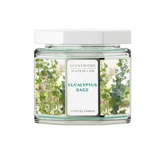 eucalyptusplus sage scented candle in a glass jar with white lid on a white background