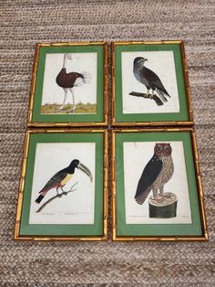 four framed pictures with birds on them sitting on a carpeted floor next to each other