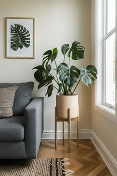 a living room with a couch, chair and potted plant