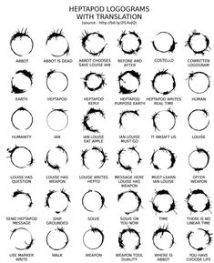 the different types and sizes of hair