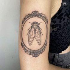 a black and white photo of a moth in a frame tattoo on the right arm