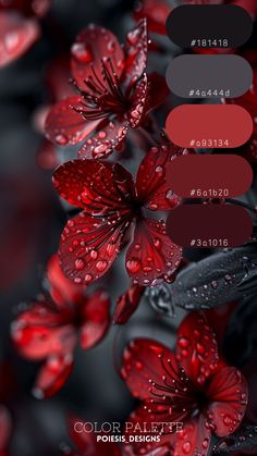 red flowers with water droplets on them and the words color palette in black below it