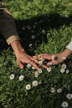 two people holding hands in the grass with daisies on their fingers and one person's hand reaching for flowers