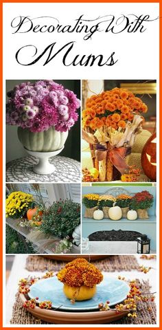 an orange and white photo with flowers in it, pumpkins on the table and other decorations