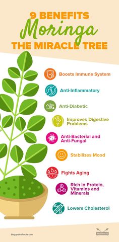 Moringa Fights Inflammation, Aging, Depression & More Boost Immune System, Rich In Protein, Lower Cholesterol, Digestion Problems, Herbal Remedies, Health Problems