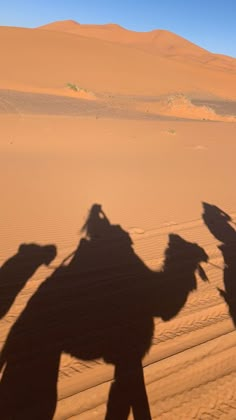 the shadow of two people riding camels in the desert