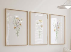 three framed flowers are hanging on the wall