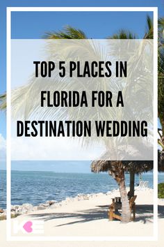 a palm tree on the beach with text overlay top 5 places in florida for a destination wedding