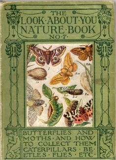 the book about you nature book no 7 features moths and how to collect them from caterpillars etc