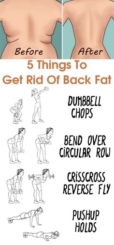 Membakar Lemak Perut, Motivasi Diet, Back Fat Workout, Modele Fitness, Beginner Workouts, Summer Body Workouts, Quick Workout Routine, Back Fat, Workout Without Gym