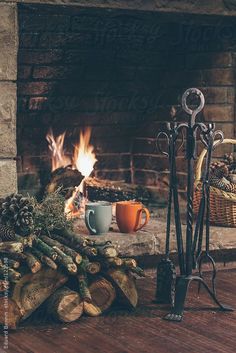 two mugs are sitting on the floor next to some logs and firewood in front of a fireplace