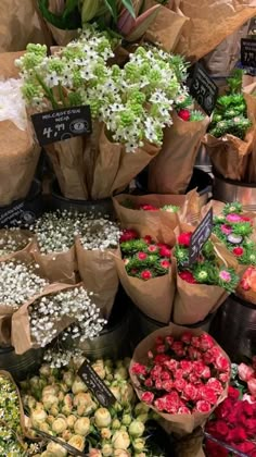 many different types of flowers are on display