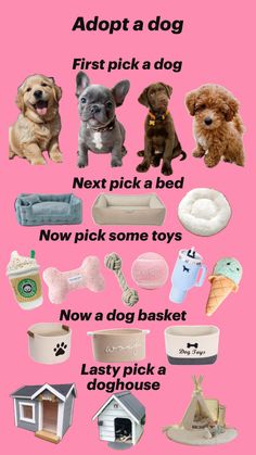 a pink poster with many different types of dogs on it's back side and the words adopt a dog first pick a dog next pick a bed now pick a bed now some toys now a