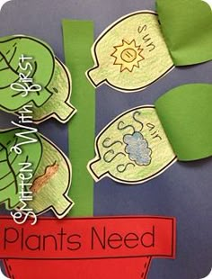 some paper flowers and leaves on a blue background with the words plant's need