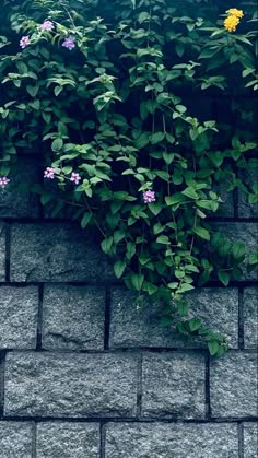 flowers growing on the side of a brick wall